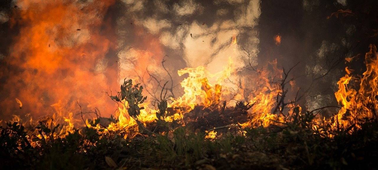 Brand im Hohen Venn: Hilfe aus Nörvenich läuft weiter