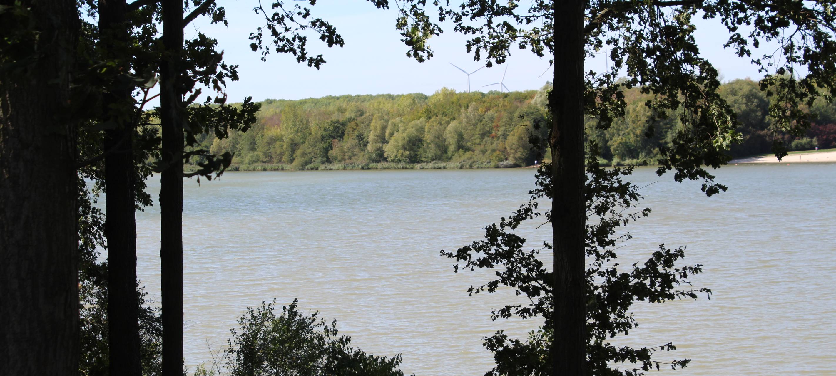Hürth/Brühl: Künftig KI-Ranger an drei Seen im Einsatz