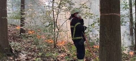 Waldbrand in Brühl-Heide - Feuer gelöscht