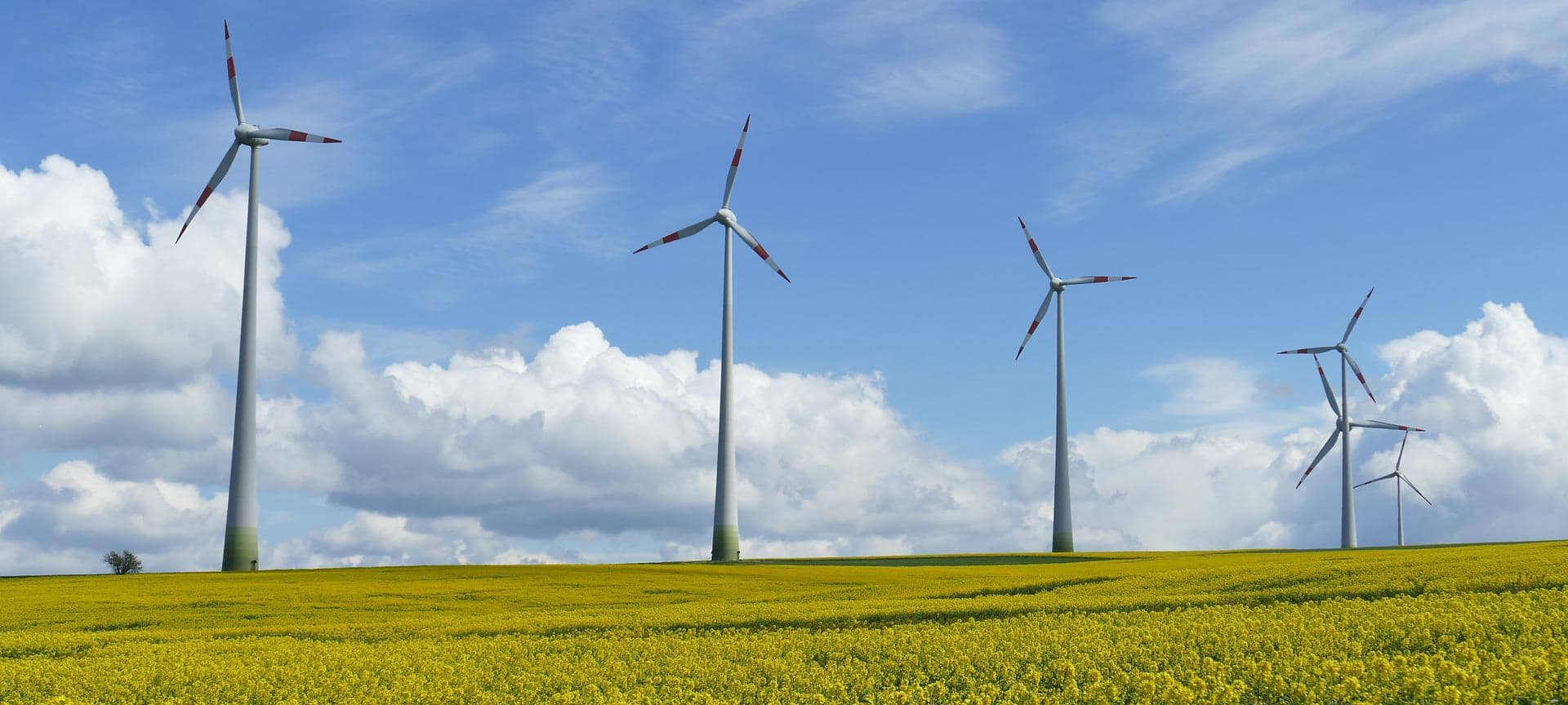 Bedburg: Geld aus Windpark für Vereine