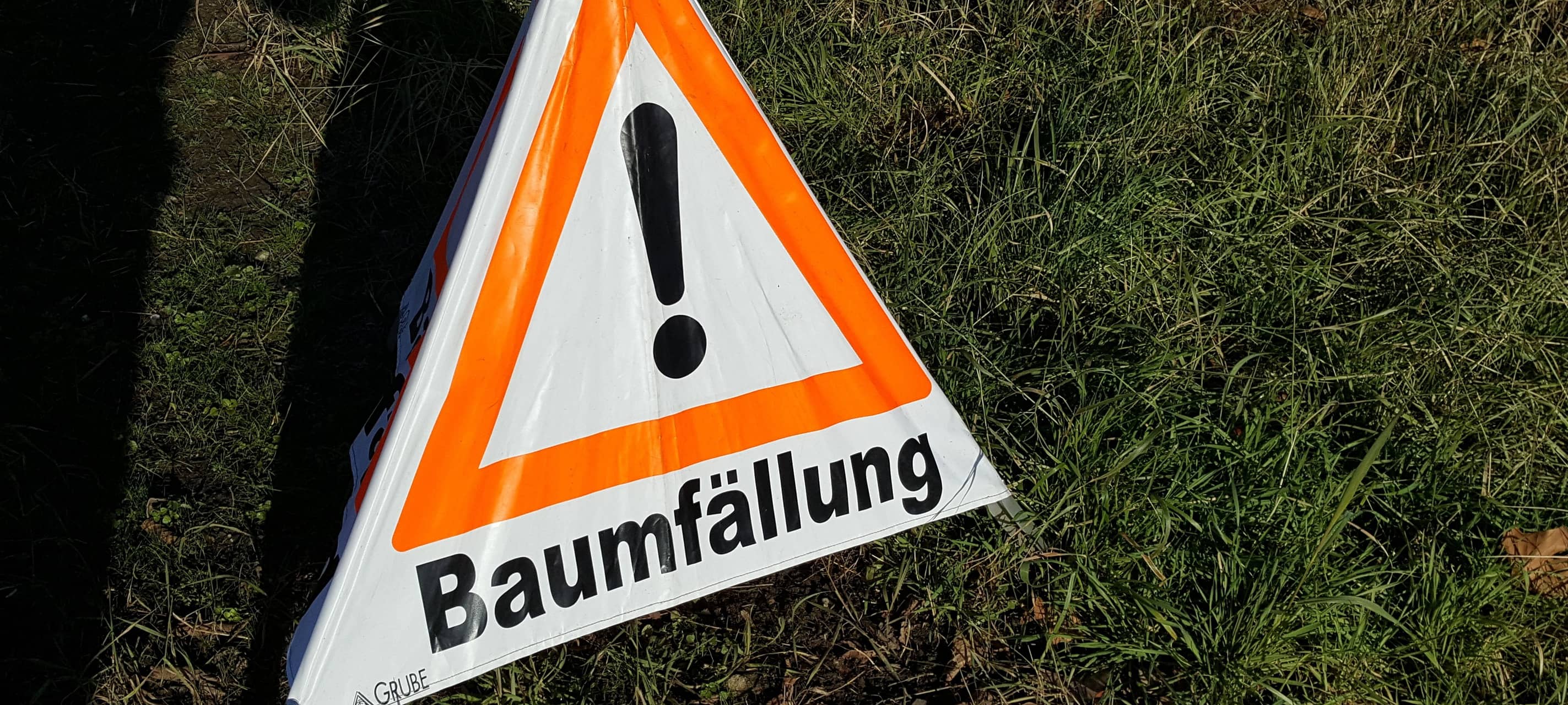 Erftstadt: Forstarbeiten an Seen der Ville