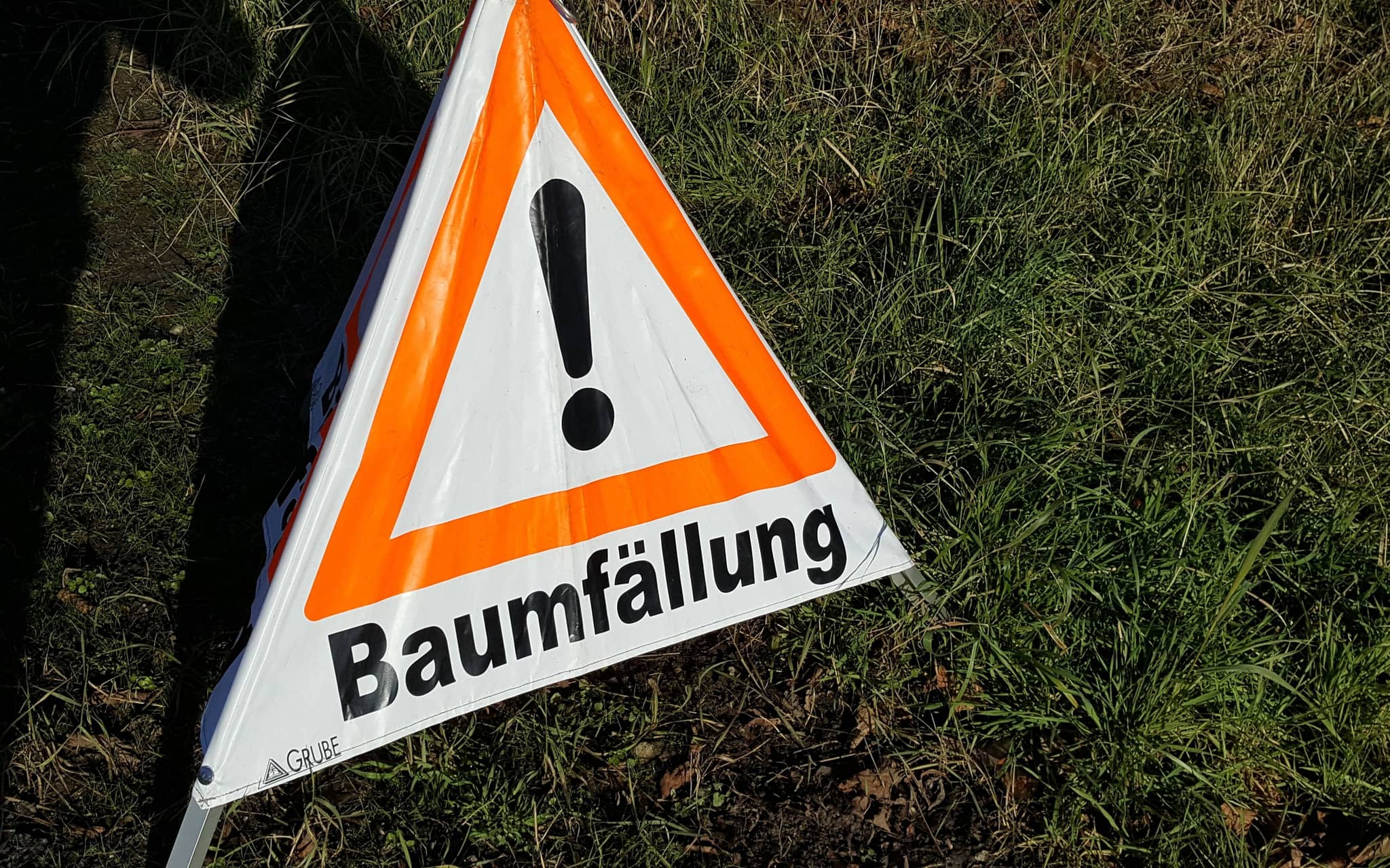 Erftstadt: Forstarbeiten an Seen der Ville