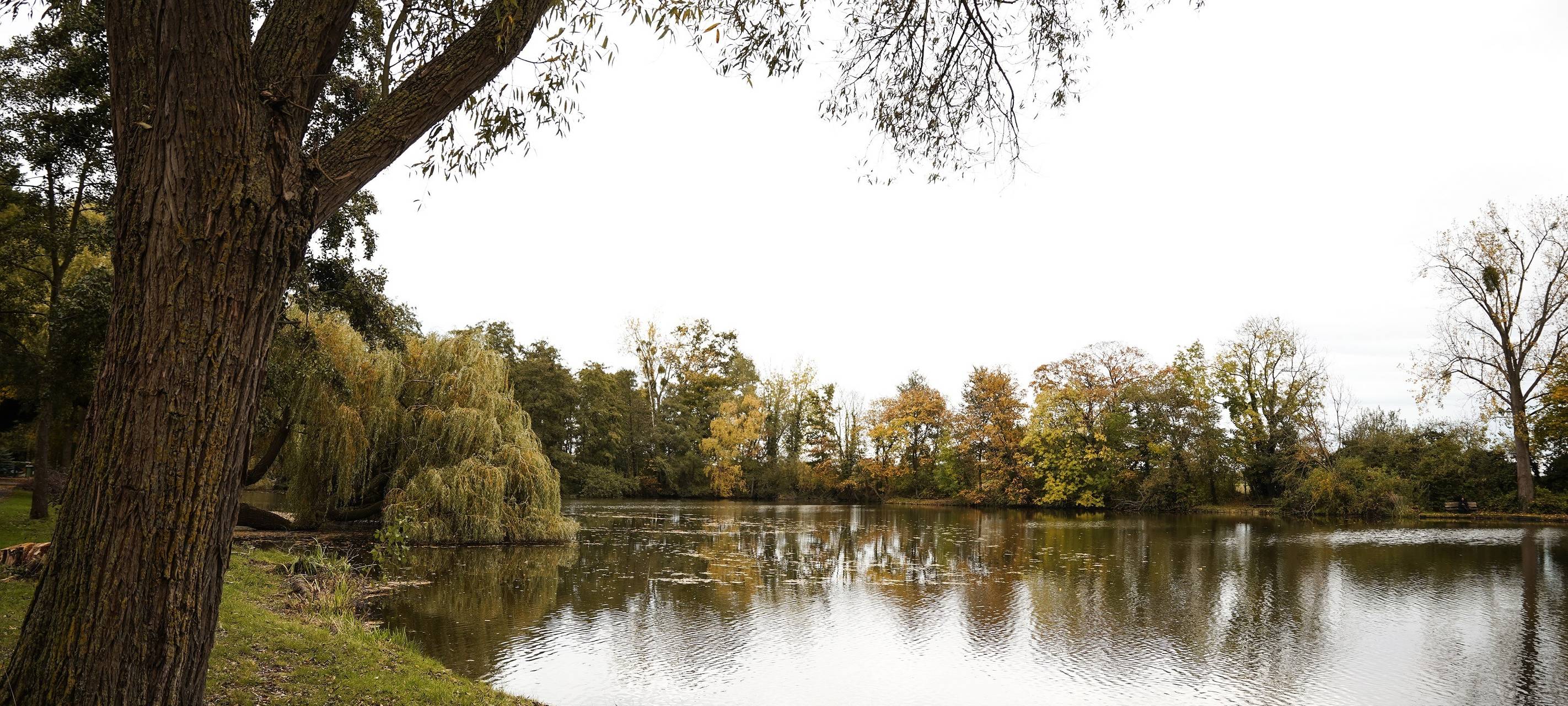 Stadt Elsdorf will Grouvener Weiher retten