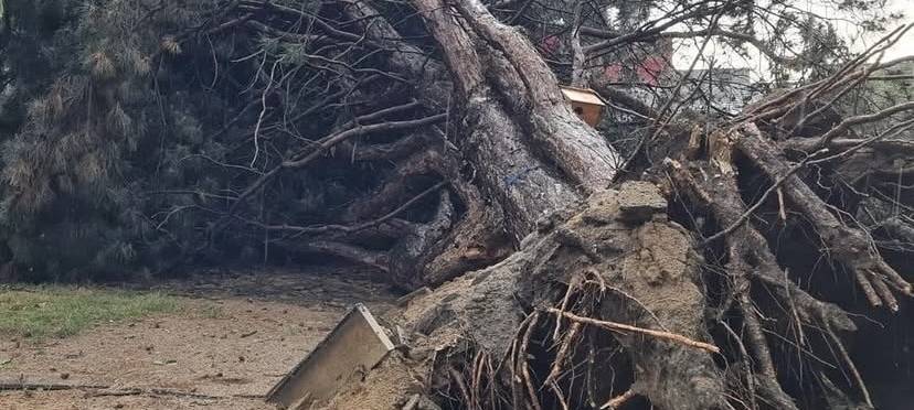 Hitzegewitter treffen Rhein-Erft-Kreis