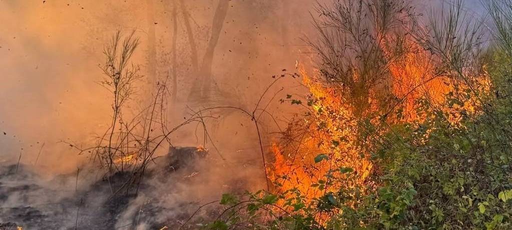 Polizei bittet um Hinweise zur Brandursache in Hürtgenwald