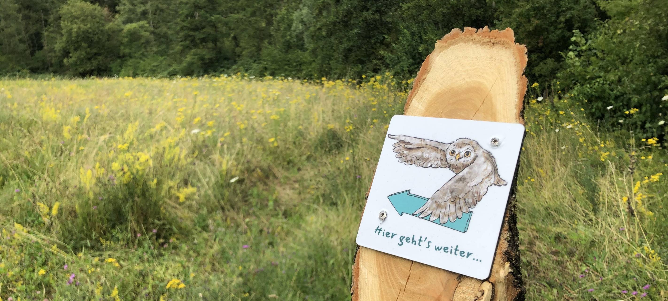 Rhein-Erft: Familienwanderung auf dem Elsbachsteig