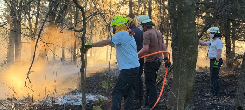 Rhein-Erft-Kreis hilft bei Waldbrand